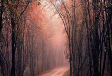 恭喜!李方慧夺得哈尔滨亚冬会中国代表团首金人民日报客户端.