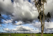 星空体育官网：一传出色扣球暴力，云南出主攻新星！她可与缪伊雯竞争小主攻位置.