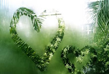 星空体育官网:全国职工冰雪运动挑战赛在吉林开赛2025-01-07.